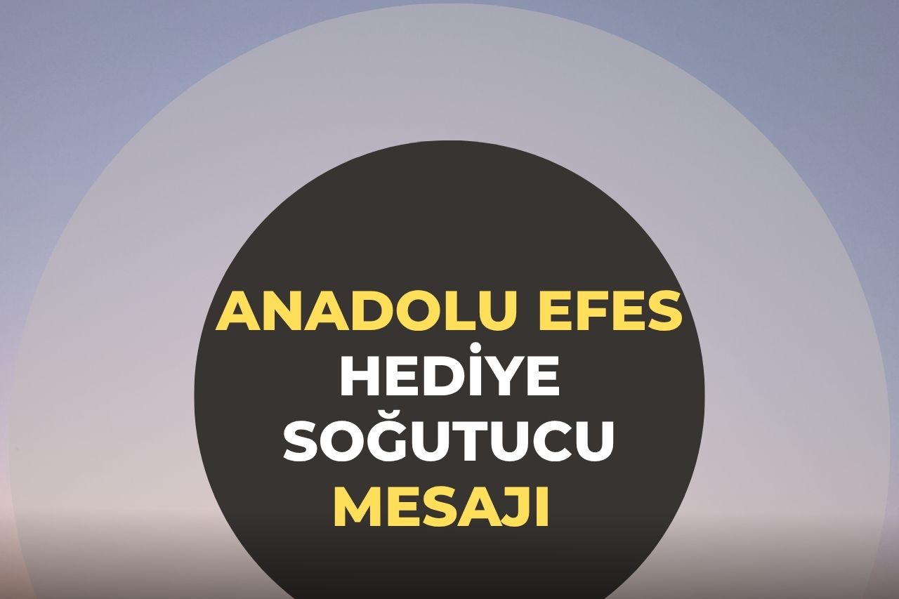Anadolu Efes Hediye Soğutucu Mesajı Geldi?